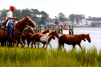 Chincoteague 2012: Vacation and Pony Swim